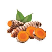 Turmeric