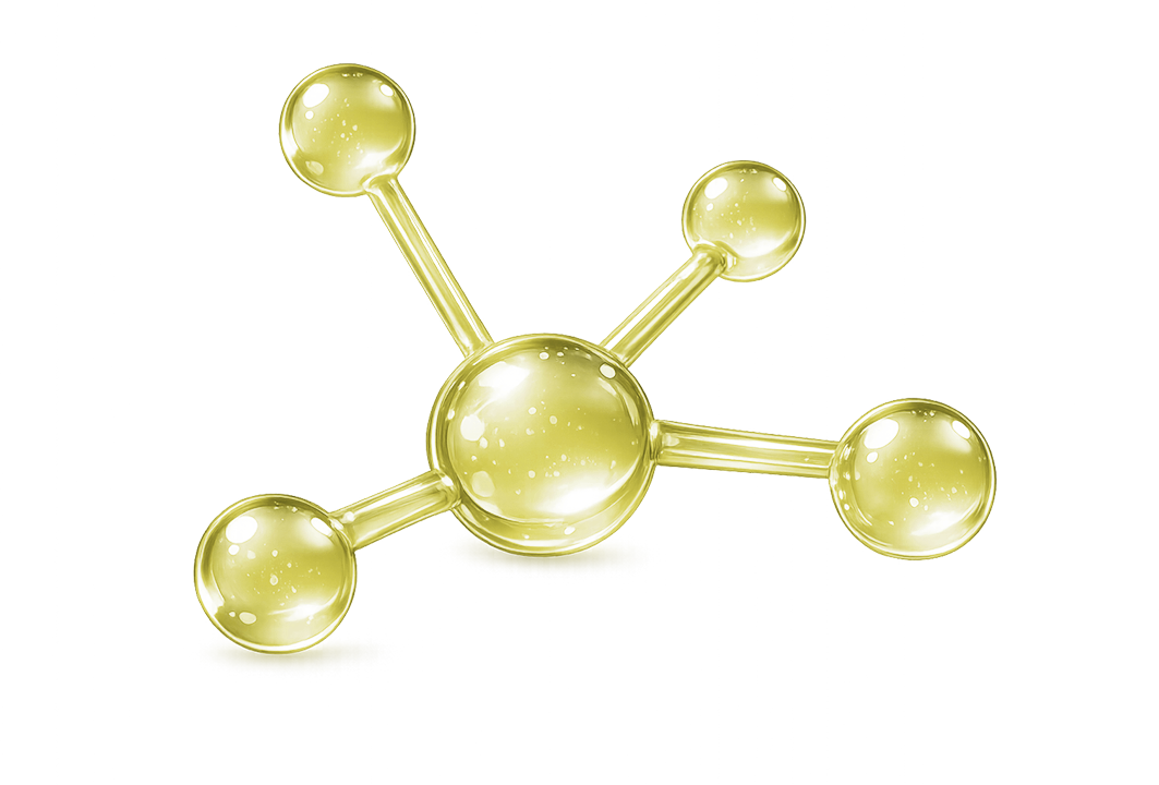 Amino Acids