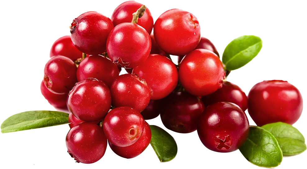 Cranberries