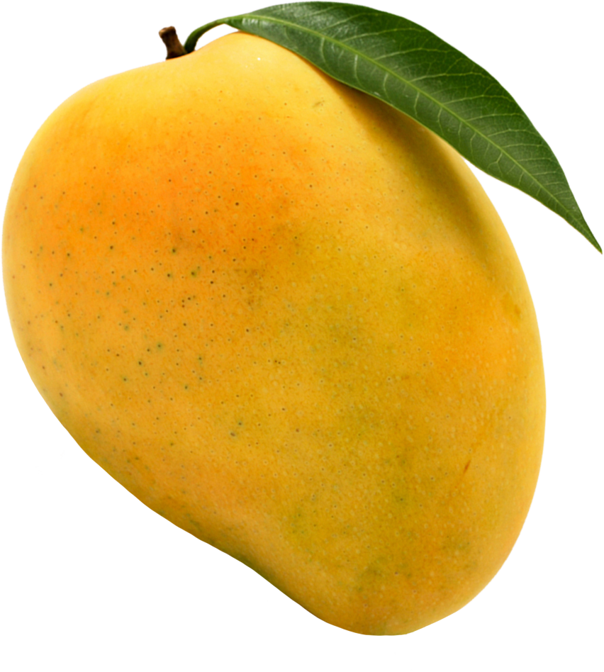 Fresh Mango