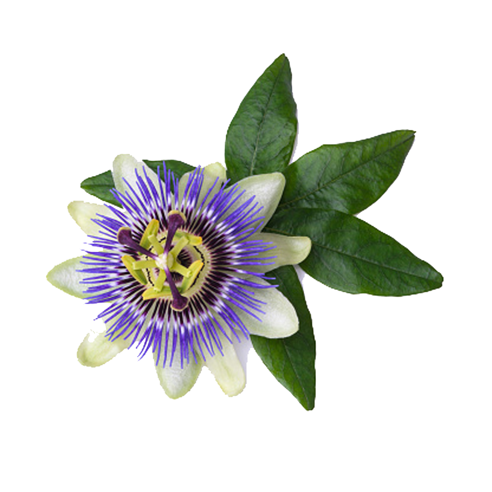 Valerian Root & Passion Flower