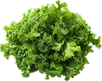 Quercetin