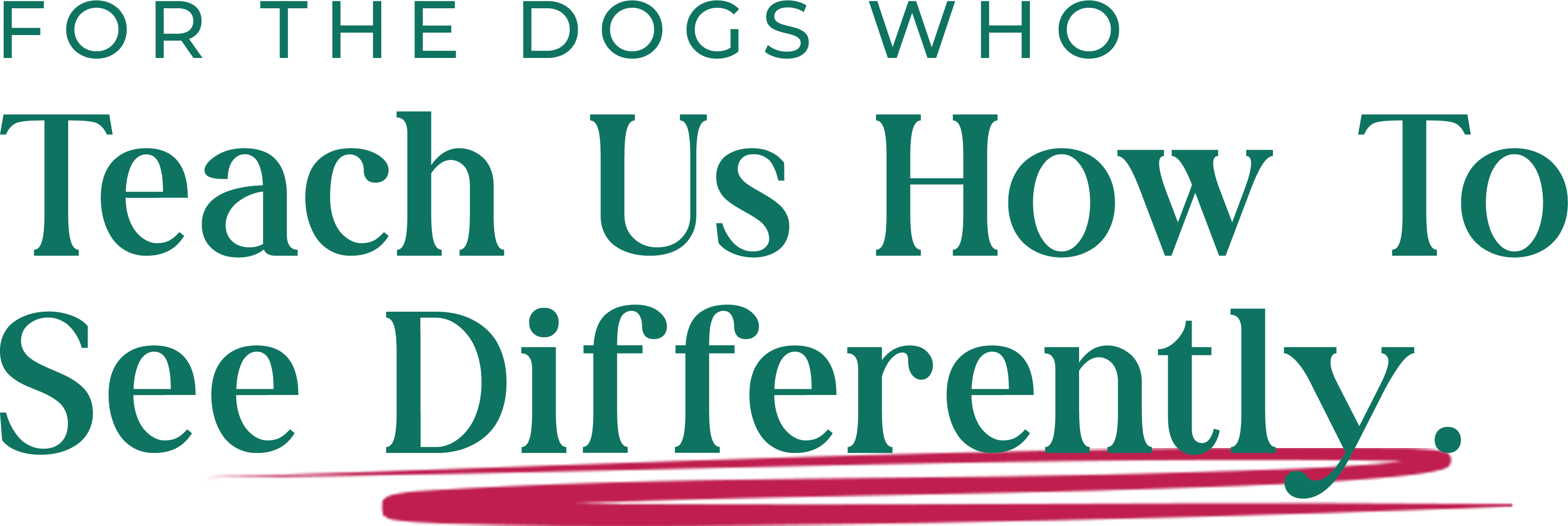 For the dogs who teach us how to see differently.