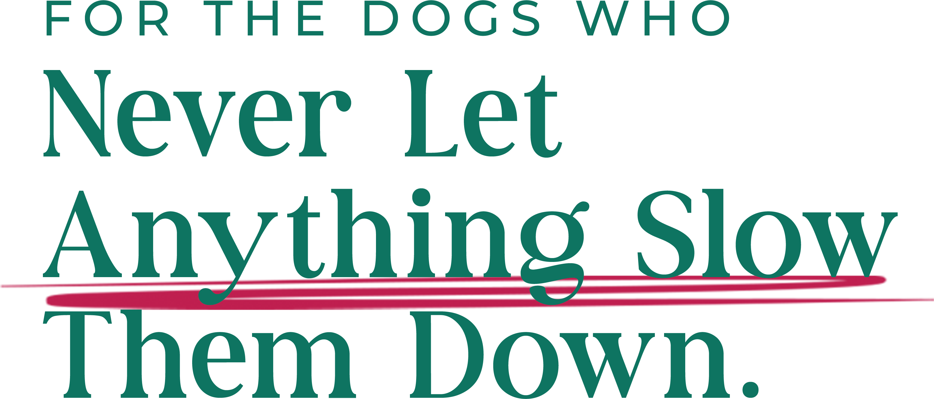 For the dogs who never let anything slow them down.