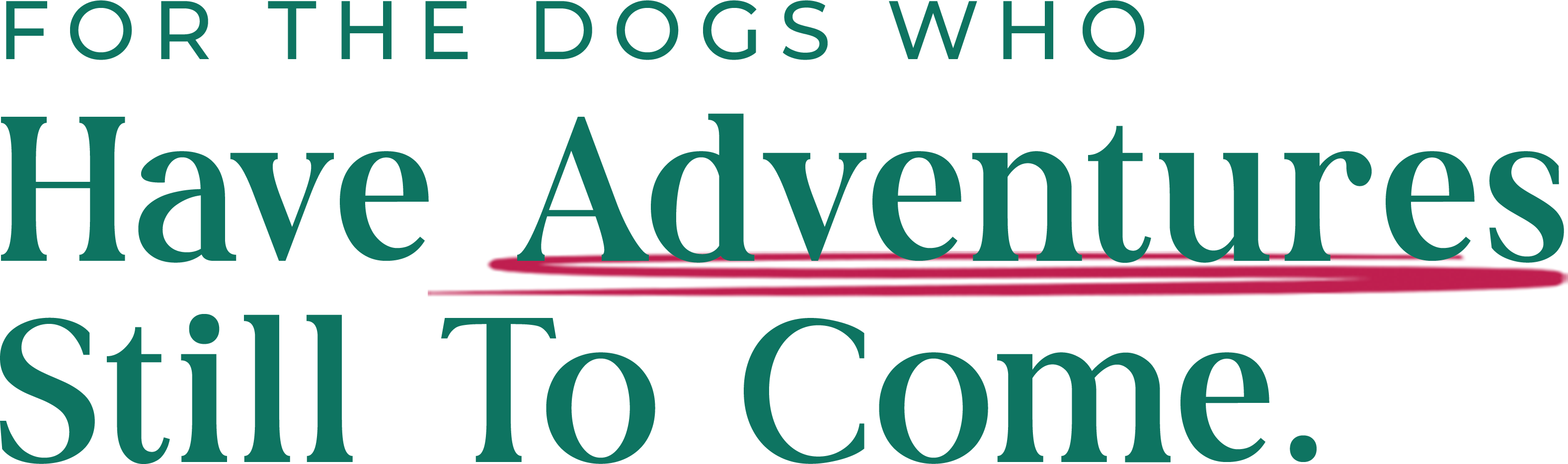 For the dogs who have adventures still to come.