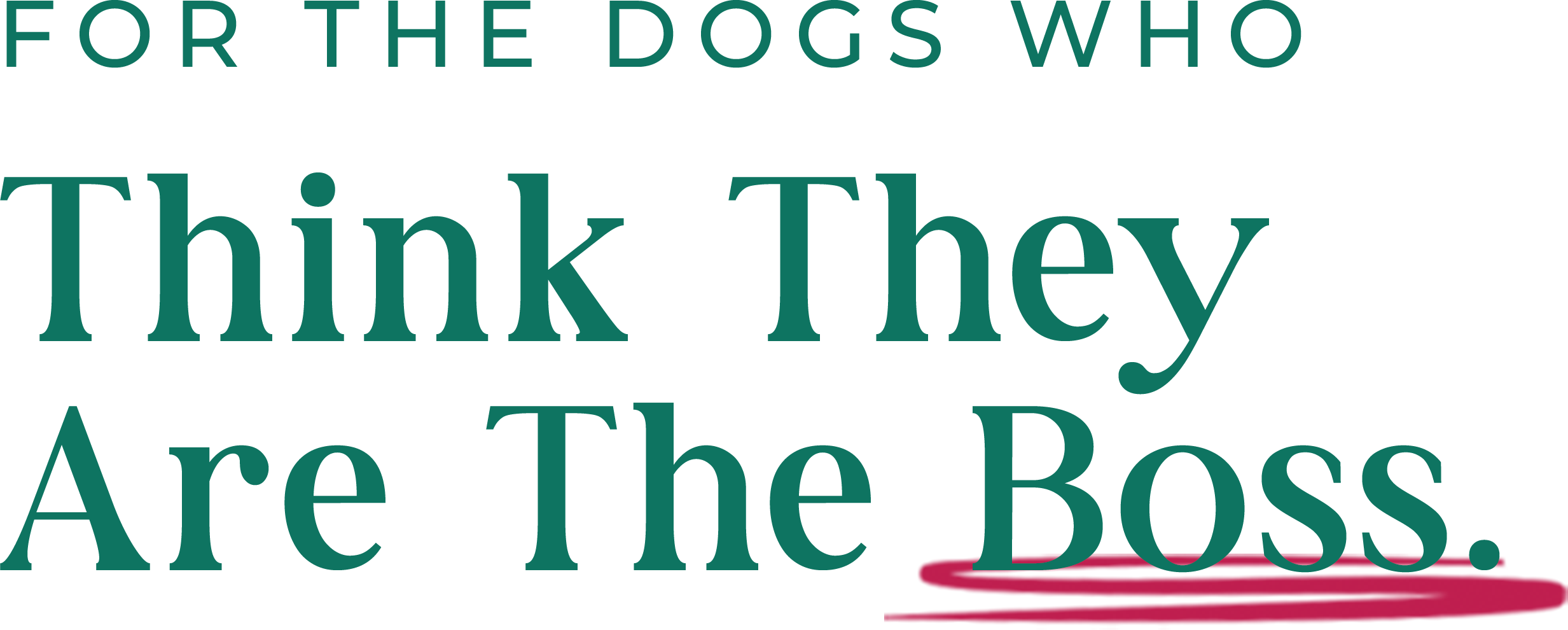 For the dogs who think they are the boss.