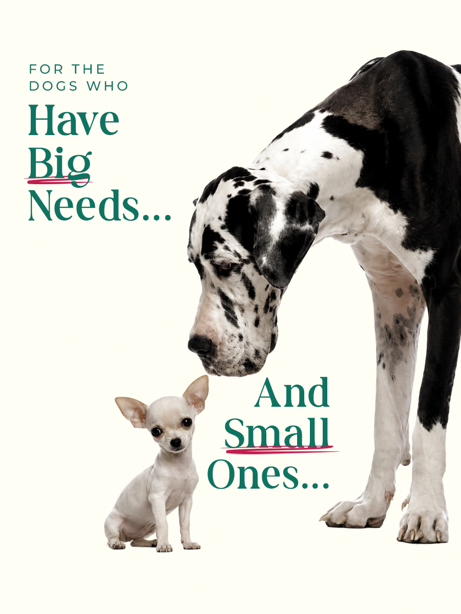 Have Big Needs and Small Ones.