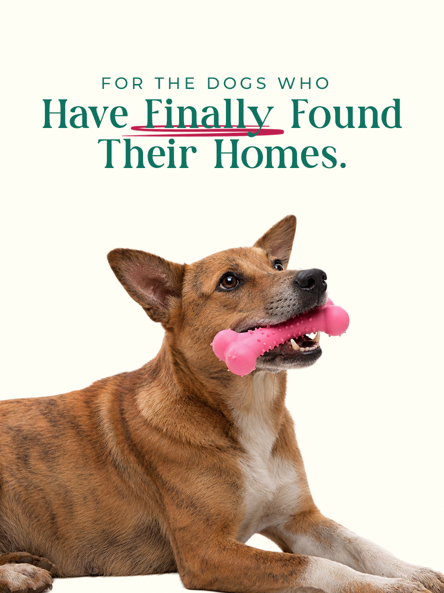 Made for Every Pet.