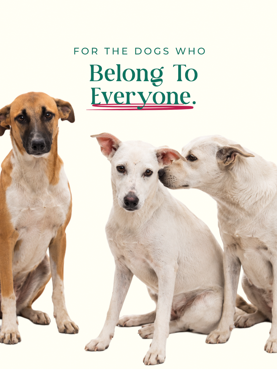 Made for Every Pet.