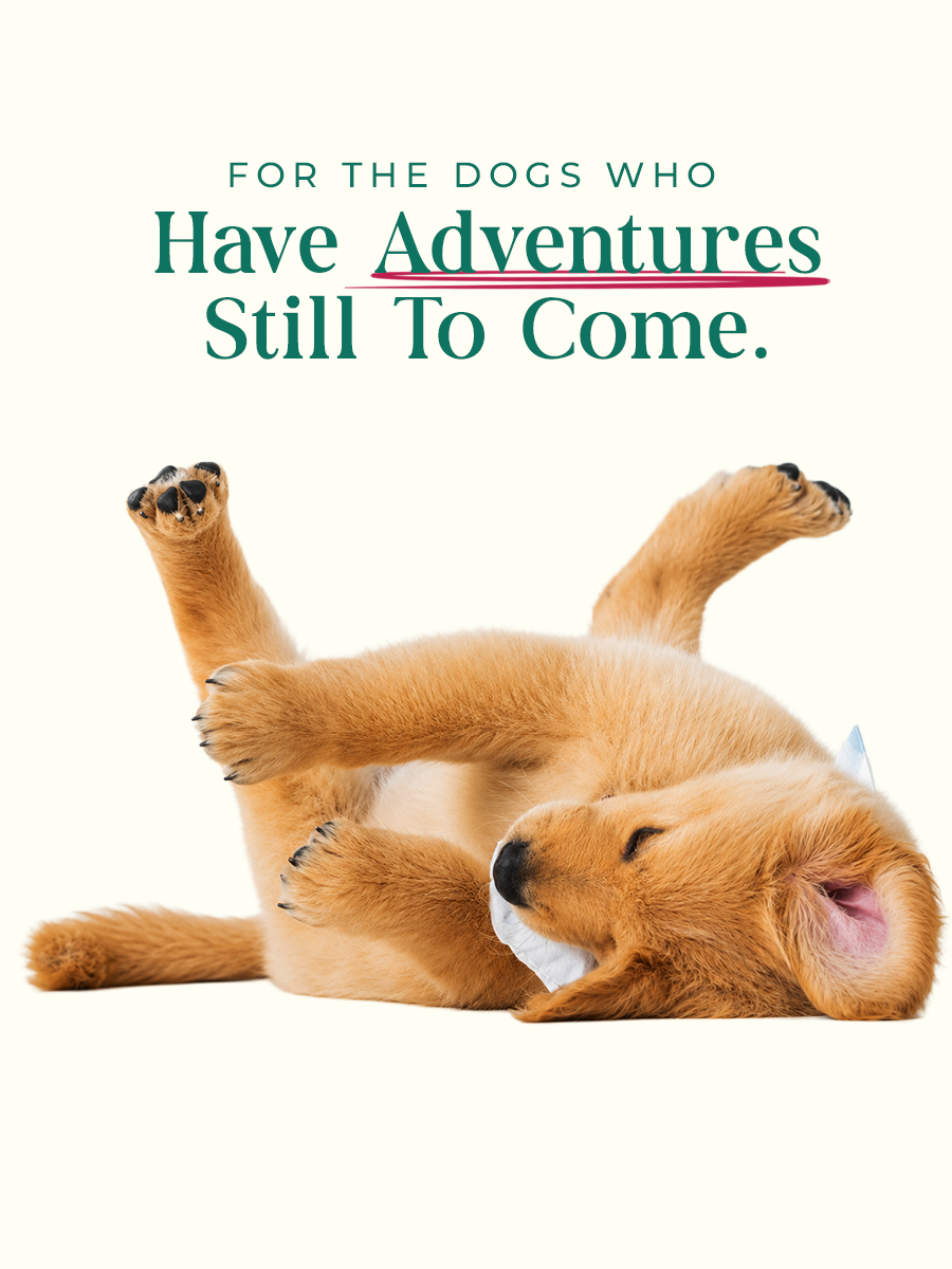 Made for Every Pet.