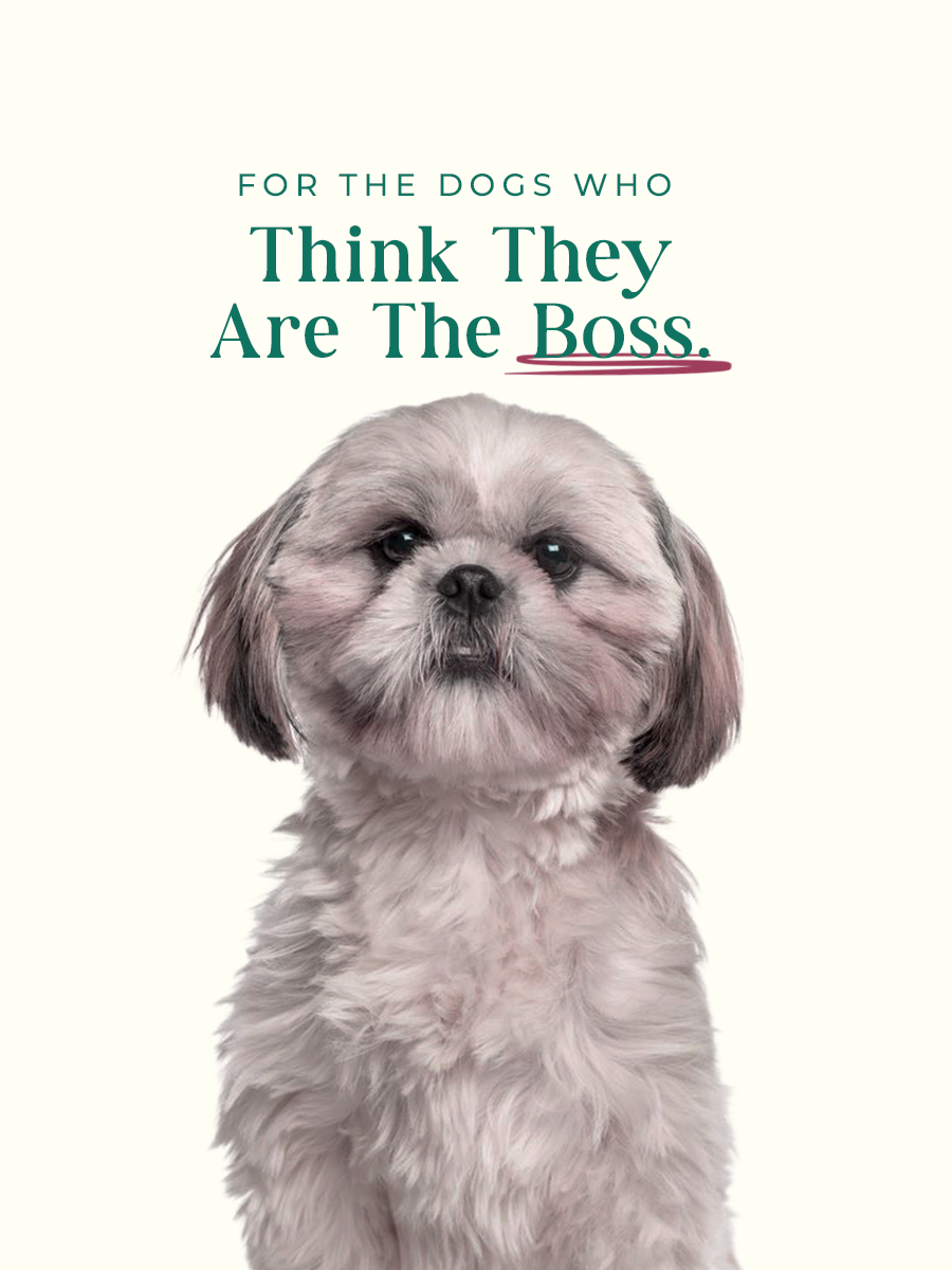 Made for Every Pet.