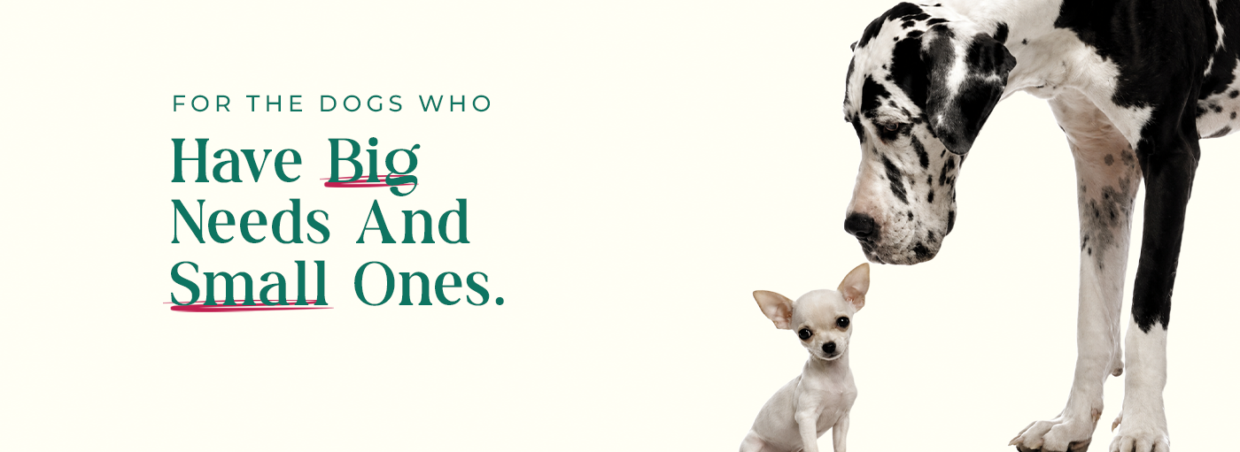 Have Big Needs and Small Ones.