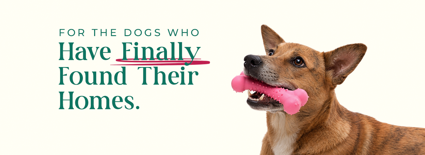 Made for Every Pet.