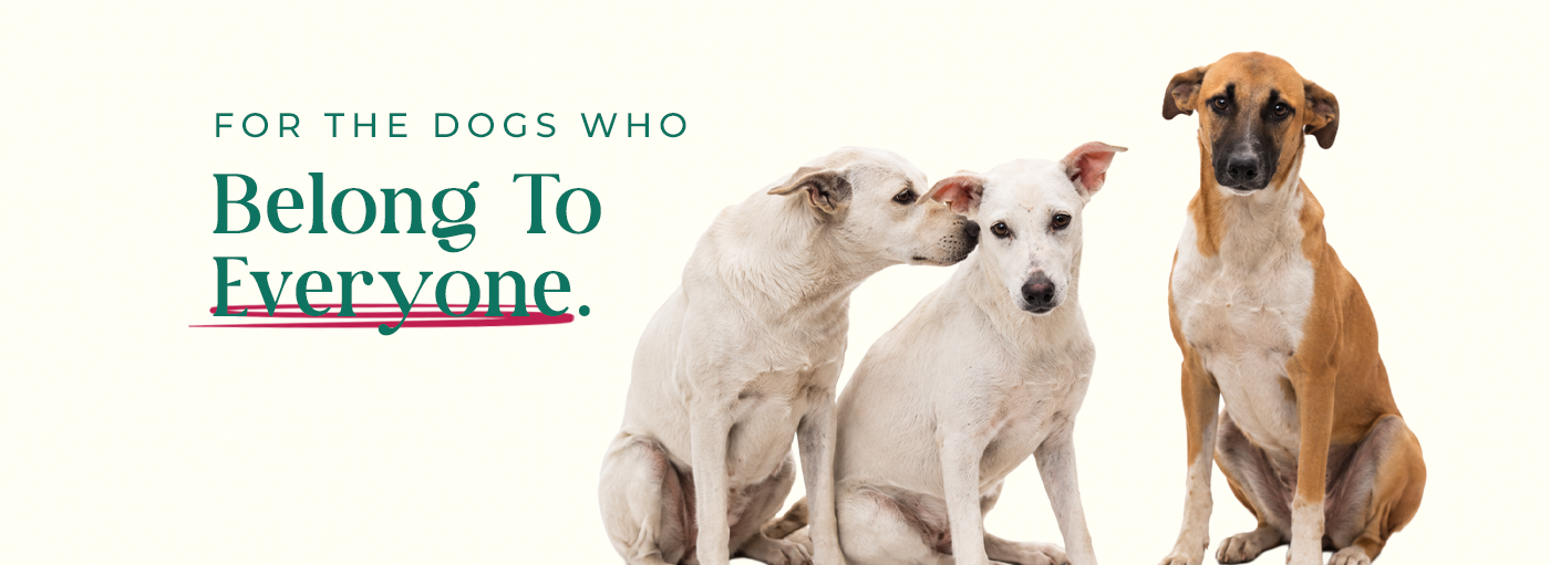 Made for Every Pet.