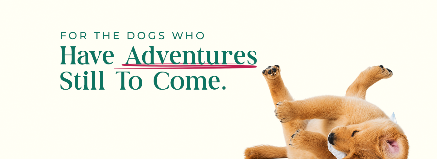 Made for Every Pet.