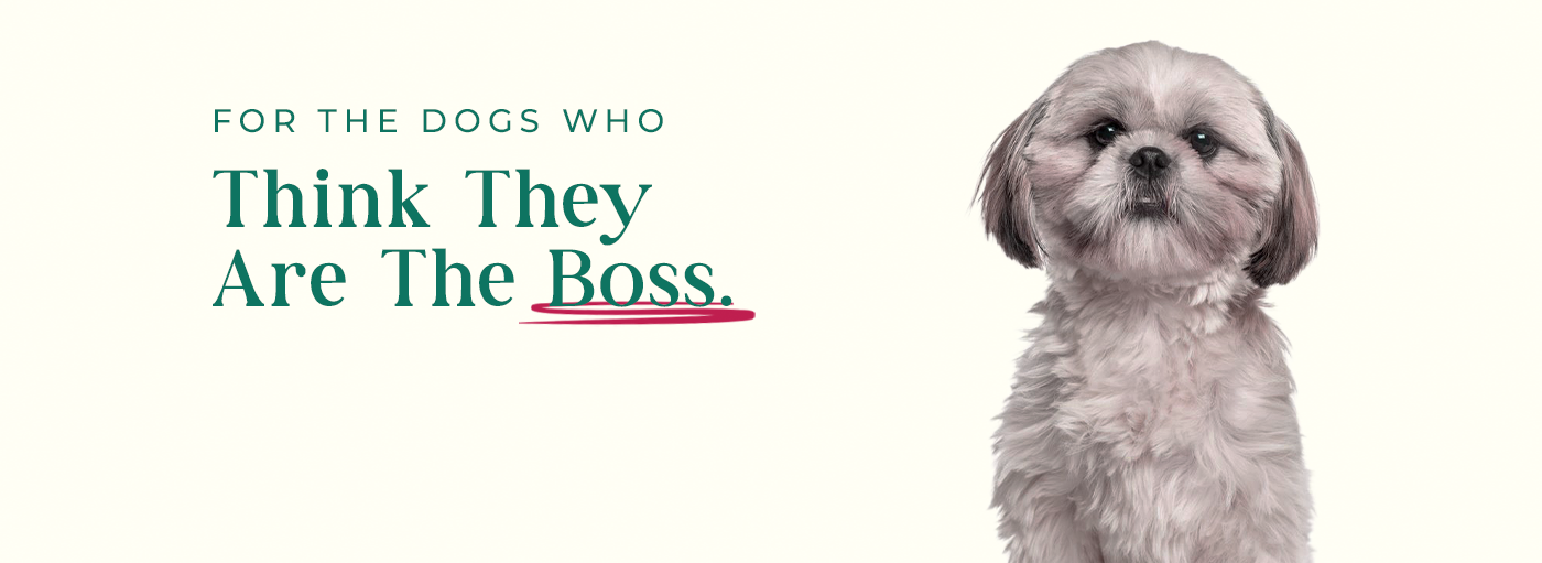 Made for Every Pet.